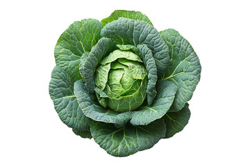 Obraz premium Whole green cabbage with vibrant outer leaves isolated on a transparent background. Fresh and organic vegetable concept, healthy food ingredient