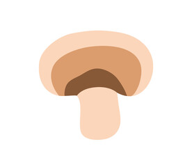 Fototapeta premium Champignon mushroom, cut slice. Fresh fungus icon, half piece with cap and stem. Natural organic food, raw healthy nutrition. Flat graphic vector illustration isolated on white background