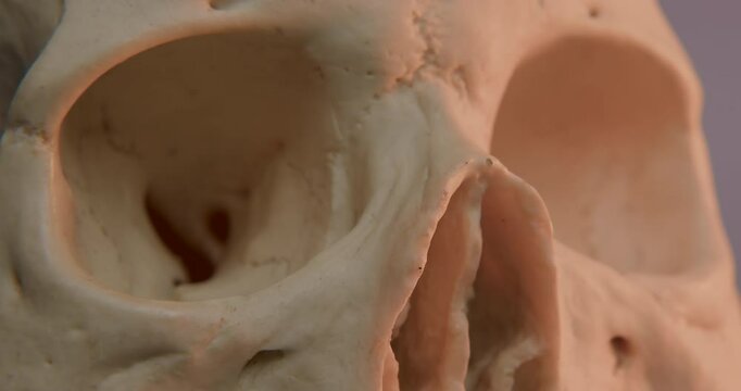 Three quarters view extreme close-up of human skull eye sockets with flickering candle light as camera slowly zooms in on gray background.