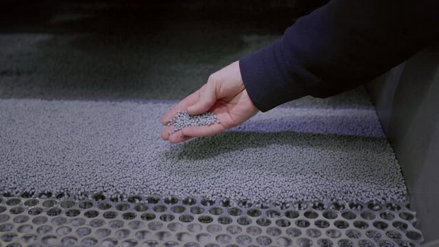 The hand touches the microplastic granules from the extruder. Plastic or polypropylene pellets on the conveyor belt of the machine. The engineer checks or inspects the raw materials for processing.