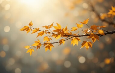 Obraz premium Golden Autumn Leaves Branch Sunlight Nature Photography Fall Tree Leaf Soft Warm Image Bokeh Plant 