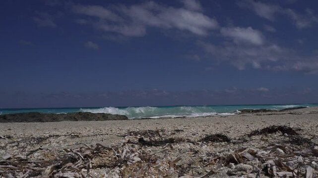 A lot of seaweed washes up on a small rocky beach with rocks along the shoreline. The most incredible thing is the beauty of the waves, a blue sky, and a few magnificent clouds.