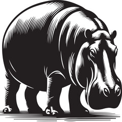 a hippopotamus  vector animel with a white beckground