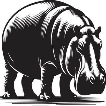 a hippopotamus  vector animel with a white beckground