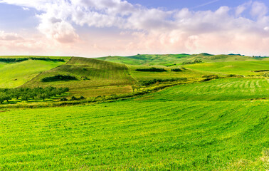 Beautiful landscape of green spring season field with salad grass, farm with garden and sunset or sunrise scenic sky