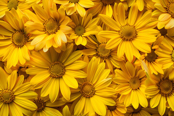 Vibrant Yellow Flower Pattern Blossoming with Natural Warmth and Aesthetic Appeal