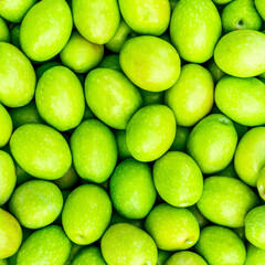Food background of Fresh Harvested Green Olive for olive oil production pattern texture. Raw fruit for olive oil. Green backdrop of autumn season olive crop