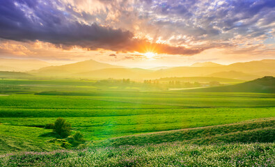 Fototapeta premium panoramic spring season landscape of beautiful greel field with yellow and salad hills and mountains in countryside