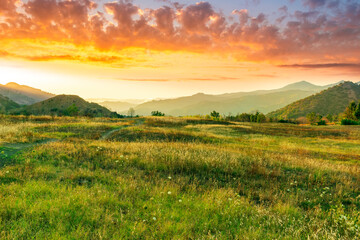 Obraz premium summer of spring landscape of green grass meadow with great beautiful mountains and awersome golden cloudy sunset.