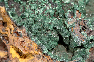 Mineral Chalcosiderite, Dark olive crystals on iron gossan, Wheal Phoenix, Linkinhorne, Cornwall, England