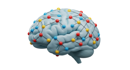Isolated Human Brain with Colorful Network Connections
