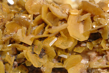 Mineral Wulfenite, Yellow spade shaped plates, Los Lamentos, Chihuahua, Mexico