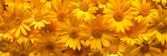 Vibrant Yellow Flower Pattern Blossoming with Natural Warmth and Aesthetic Appeal