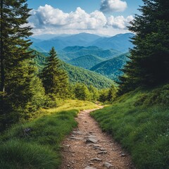 Obraz premium Scenic Mountain Trail Through Lush Green Forest Under Blue Sky