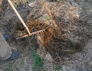 Gardening preparation with rake in a rural area during late afternoon sunshine