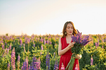 beautiful girl in a red dress with a bouquet of lupine flowers in the field