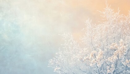 Frost Covered Branches Against a Pastel Sky Winter Landscape