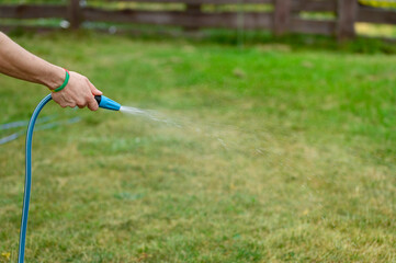 Podlewanie trawnika w ogródku wodą z węża ogrodowego  © Paweł Kacperek