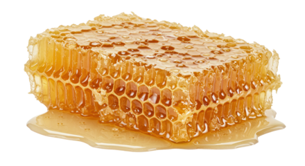 honeycomb with honey