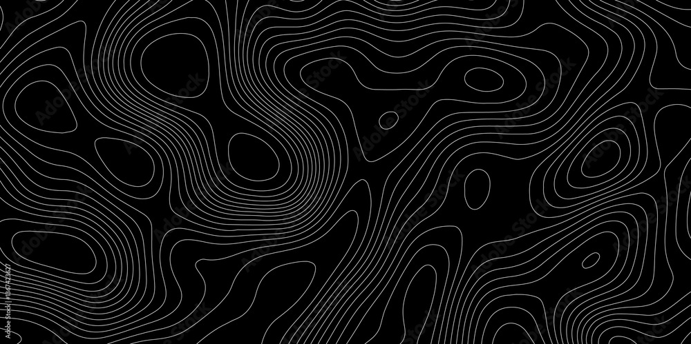 Poster abstract monochrome image white lines paper curve fractal lines topographic map cartography backgrou