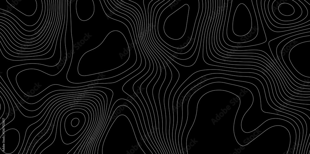 Poster abstract monochrome image white lines paper curve fractal lines topographic map cartography backgrou