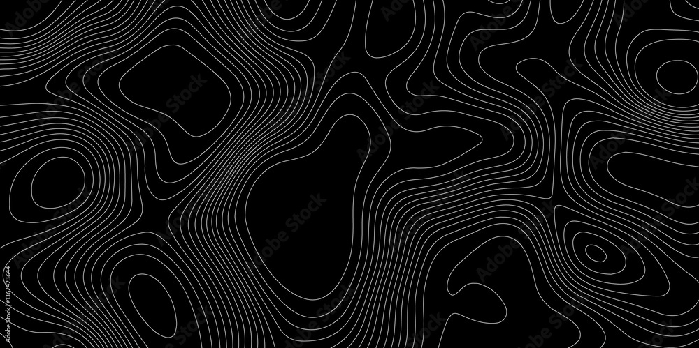 Poster abstract monochrome image white lines paper curve fractal lines topographic map cartography backgrou