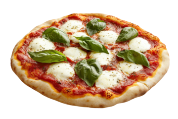 Delicious homemade margherita pizza with fresh basil leaves on a white background isolated on transparent background