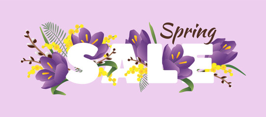 Hello spring. Sale banner with spring flowers crocus and mimosa on purple background.
