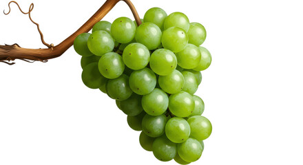 Isolated Green Grapes Bunch