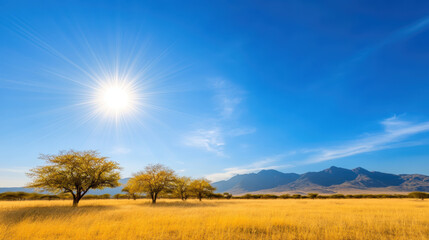 sunny savanna landscape with trees and distant mountains