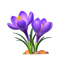 Naklejka premium spring crocus flowers