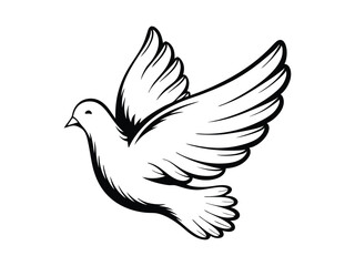 A free white dove with spread wings, a vector symbol of peace and love