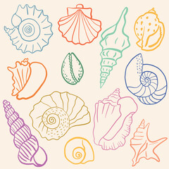 Set of  ink seashell illustrations. Various shell types in a minimalistic line art style. Summer, vacation, ocean, beach concept. Design elements for trendy prints, label, menu cover.