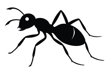 Ant Vector Silhouette Illustration 