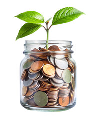 fresh green plant growing from stack of coins in glass mason jar isolated on transparent PNG background