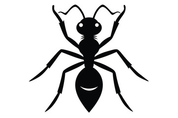 Ant Vector Silhouette Illustration 
