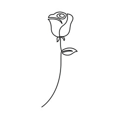 continuous single line Premium Minimalist Rose Vector art for your project