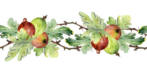 Gooseberry Currant berry on branches with thorns, leaves, boutonniere ripe garden casseille jostaberry. Hand drawn in watercolor. Isolated seamless banner border garland. Cafe menu, farmers market