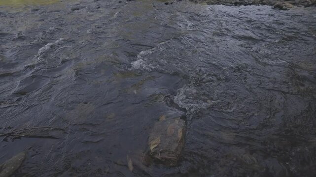 water flowing into the river, hd video, canon eos r c-log 8bits