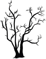Silhouette of Bare Tree Branches on a Transparent Background