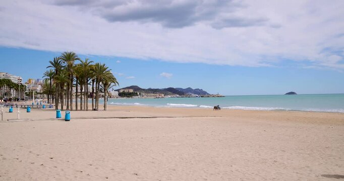 Slow motion footage of a typical Spanish beach in the town of Villajoyosa showing the beautiful beach front with palm trees on a sunny day