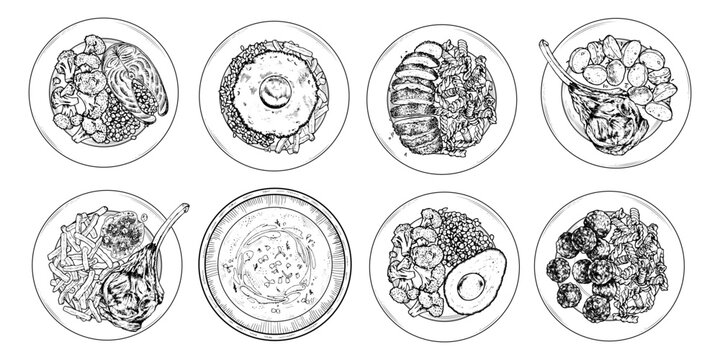 Vector illustration of a balanced meal set in top view. Hand drawn dishes in black and white. Vintage engraving style food sketch perfect for meal prep and diet planning. Ideal for culinary designs