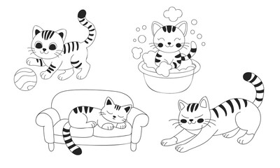 A set of kittens in different poses. On the couch, with a ball, bathing. Isolated on white background.