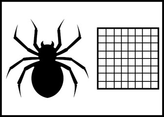 Rätsel Bilderrätsel Spinnennetz