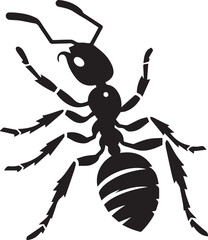 Ant black and white vector illustration
