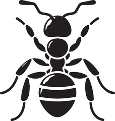 Ant black and white vector illustration