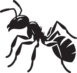 Ant black and white vector illustration