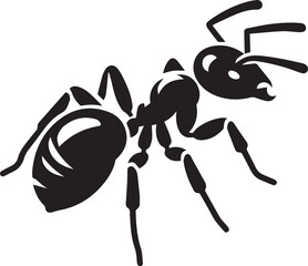 Ant black and white vector illustration