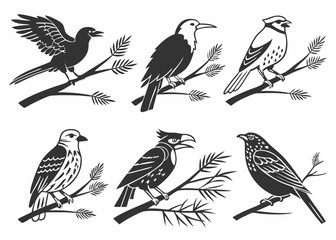 set of birds