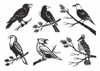 set of birds